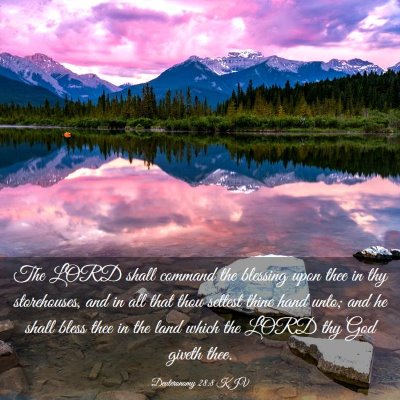Picture 03 - Deuteronomy 28:8 KJV - The LORD shall command the blessing upon thee in - Bible Verse Picture