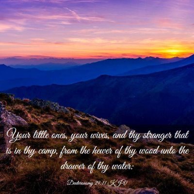 Picture 03 - Deuteronomy 29:11 KJV - Your little ones, your wives, and thy stranger - Bible Verse Picture