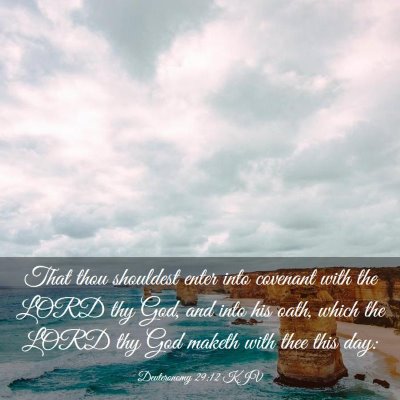 Picture 03 - Deuteronomy 29:12 KJV - That thou shouldest enter into covenant with the - Bible Verse Picture