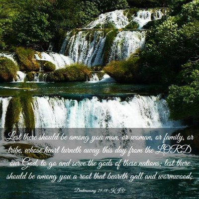 Picture 03 - Deuteronomy 29:18 KJV - Lest there should be among you man, or woman, or - Bible Verse Picture