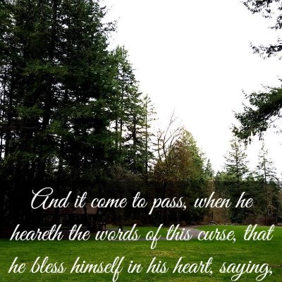 Picture 03 - Deuteronomy 29:19 KJV - And it come to pass, when he heareth the words of - Bible Verse Picture