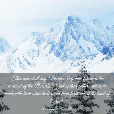 Picture 03 - Deuteronomy 29:25 KJV - Then men shall say, Because they have forsaken - Bible Verse Picture