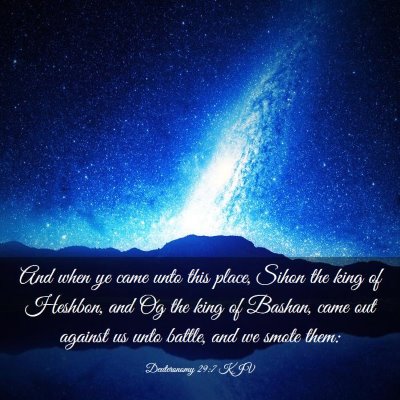 Picture 03 - Deuteronomy 29:7 KJV - And when ye came unto this place, Sihon the king - Bible Verse Picture