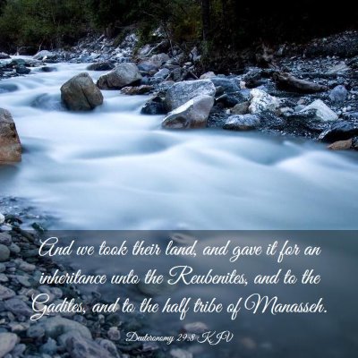 Picture 03 - Deuteronomy 29:8 KJV - And we took their land, and gave it for an - Bible Verse Picture
