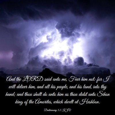 Picture 03 - Deuteronomy 3:2 KJV - And the LORD said unto me, Fear him not: for I - Bible Verse Picture