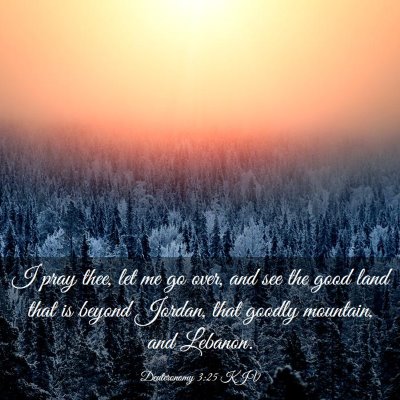 Picture 03 - Deuteronomy 3:25 KJV - I pray thee, let me go over, and see the good - Bible Verse Picture