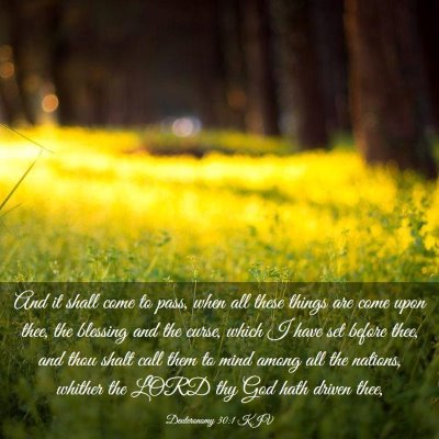 Picture 03 - Deuteronomy 30:1 KJV - And it shall come to pass, when all these things - Bible Verse Picture