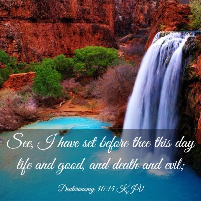 Picture 03 - Deuteronomy 30:15 KJV - See, I have set before thee this day life and - Bible Verse Picture