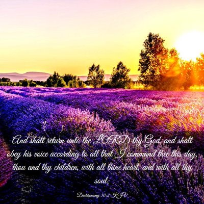 Picture 03 - Deuteronomy 30:2 KJV - And shalt return unto the LORD thy God, and shalt - Bible Verse Picture