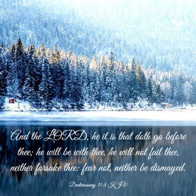 Picture 03 - Deuteronomy 31:8 KJV - And the LORD, he it is that doth go before thee; - Bible Verse Picture