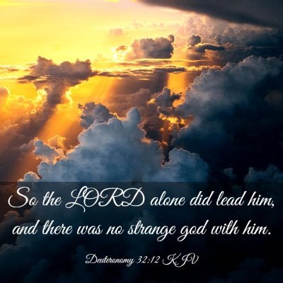 Picture 03 - Deuteronomy 32:12 KJV - So the LORD alone did lead him, and there was no - Bible Verse Picture