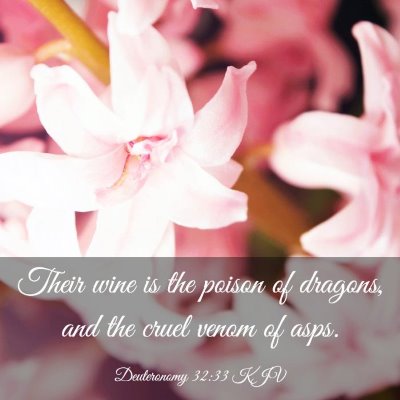 Picture 03 - Deuteronomy 32:33 KJV - Their wine is the poison of dragons, and the - Bible Verse Picture