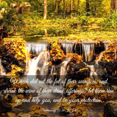 Picture 03 - Deuteronomy 32:38 KJV - Which did eat the fat of their sacrifices, and - Bible Verse Picture