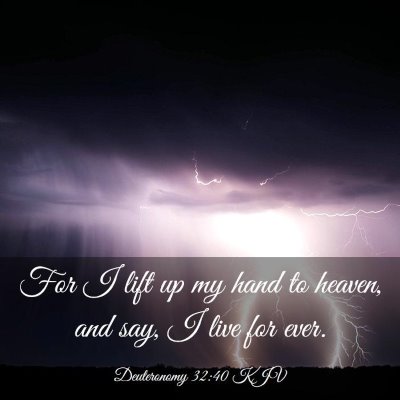 Picture 03 - Deuteronomy 32:40 KJV - For I lift up my hand to heaven, and say, I live - Bible Verse Picture