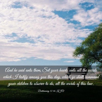Picture 03 - Deuteronomy 32:46 KJV - And he said unto them, Set your hearts unto all - Bible Verse Picture