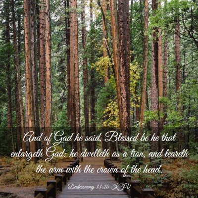 Picture 03 - Deuteronomy 33:20 KJV - And of Gad he said, Blessed be he that enlargeth - Bible Verse Picture