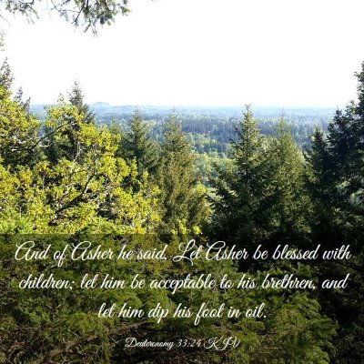 Picture 03 - Deuteronomy 33:24 KJV - And of Asher he said, Let Asher be blessed with - Bible Verse Picture