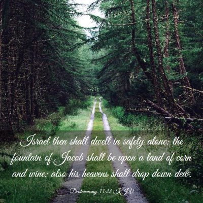 Picture 03 - Deuteronomy 33:28 KJV - Israel then shall dwell in safety alone: the - Bible Verse Picture