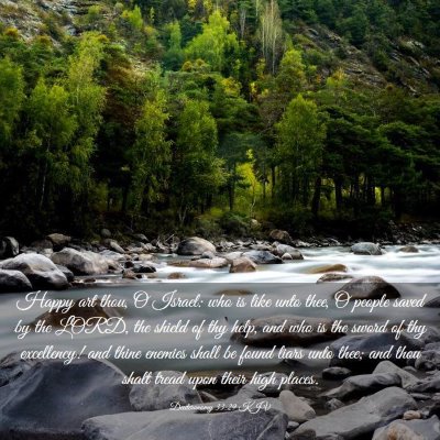 Picture 03 - Deuteronomy 33:29 KJV - Happy art thou, O Israel: who is like unto thee, - Bible Verse Picture