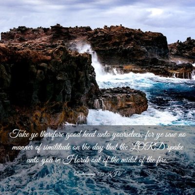 Picture 03 - Deuteronomy 4:15 KJV - Take ye therefore good heed unto yourselves; for - Bible Verse Picture