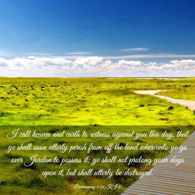 Picture 03 - Deuteronomy 4:26 KJV - I call heaven and earth to witness against you - Bible Verse Picture