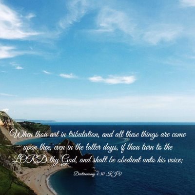 Picture 03 - Deuteronomy 4:30 KJV - When thou art in tribulation, and all these - Bible Verse Picture