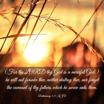 Picture 03 - Deuteronomy 4:31 KJV - (For the LORD thy God is a merciful God;) he will - Bible Verse Picture