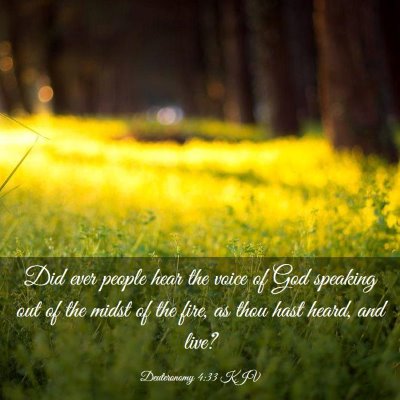 Picture 03 - Deuteronomy 4:33 KJV - Did ever people hear the voice of God speaking - Bible Verse Picture
