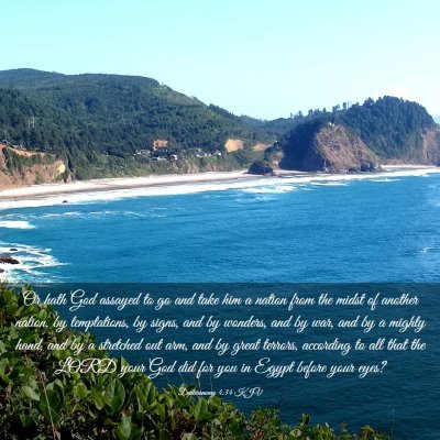 Picture 03 - Deuteronomy 4:34 KJV - Or hath God assayed to go and take him a nation - Bible Verse Picture