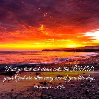 Picture 03 - Deuteronomy 4:4 KJV - But ye that did cleave unto the LORD your God are - Bible Verse Picture