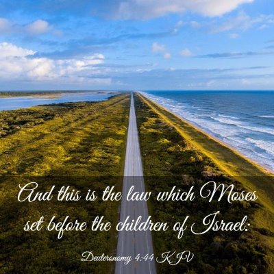 Picture 03 - Deuteronomy 4:44 KJV - And this is the law which Moses set before the - Bible Verse Picture