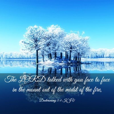 Picture 03 - Deuteronomy 5:4 KJV - The LORD talked with you face to face in the - Bible Verse Picture