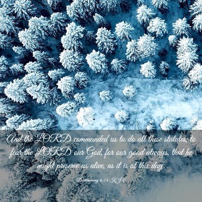 Picture 03 - Deuteronomy 6:24 KJV - And the LORD commanded us to do all these - Bible Verse Picture