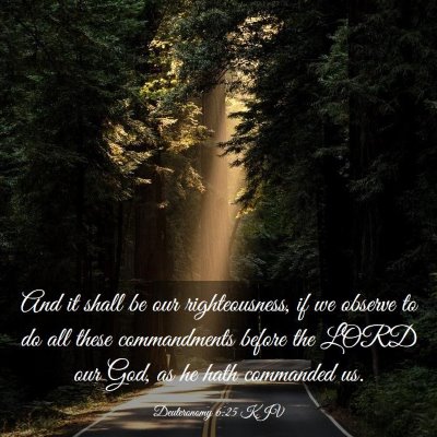Picture 03 - Deuteronomy 6:25 KJV - And it shall be our righteousness, if we observe - Bible Verse Picture