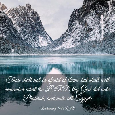 Picture 03 - Deuteronomy 7:18 KJV - Thou shalt not be afraid of them: but shalt well - Bible Verse Picture