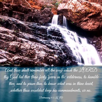 Picture 03 - Deuteronomy 8:2 KJV - And thou shalt remember all the way which the - Bible Verse Picture