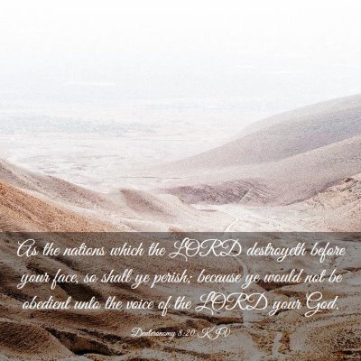 Picture 03 - Deuteronomy 8:20 KJV - As the nations which the LORD destroyeth before - Bible Verse Picture