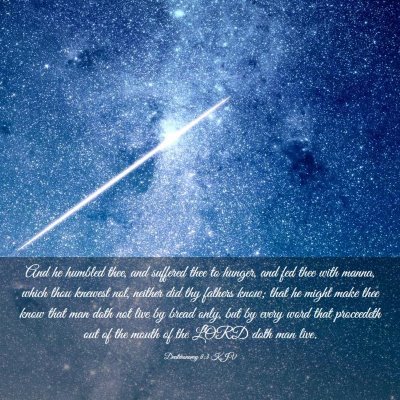 Picture 03 - Deuteronomy 8:3 KJV - And he humbled thee, and suffered thee to hunger, - Bible Verse Picture