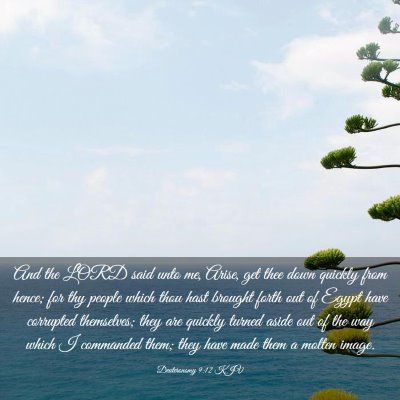 Picture 03 - Deuteronomy 9:12 KJV - And the LORD said unto me, Arise, get thee down - Bible Verse Picture