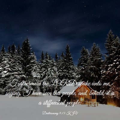 Picture 03 - Deuteronomy 9:13 KJV - Furthermore the LORD spake unto me, saying, I - Bible Verse Picture