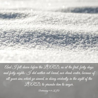 Picture 03 - Deuteronomy 9:18 KJV - And I fell down before the LORD, as at the first, - Bible Verse Picture
