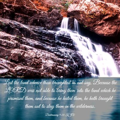 Picture 03 - Deuteronomy 9:28 KJV - Lest the land whence thou broughtest us out say, - Bible Verse Picture