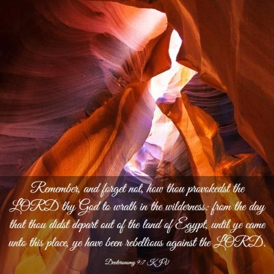 Picture 03 - Deuteronomy 9:7 KJV - Remember, and forget not, how thou provokedst the - Bible Verse Picture