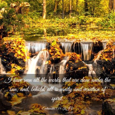 Picture 03 - Ecclesiastes 1:14 KJV - I have seen all the works that are done under the - Bible Verse Picture