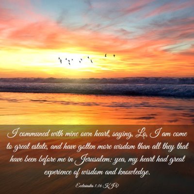 Picture 03 - Ecclesiastes 1:16 KJV - I communed with mine own heart, saying, Lo, I am - Bible Verse Picture