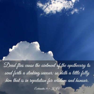 Picture 03 - Ecclesiastes 10:1 KJV - Dead flies cause the ointment of the apothecary - Bible Verse Picture