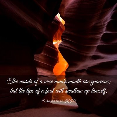 Picture 03 - Ecclesiastes 10:12 KJV - The words of a wise man's mouth are gracious; but - Bible Verse Picture