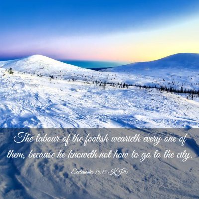 Picture 03 - Ecclesiastes 10:15 KJV - The labour of the foolish wearieth every one of - Bible Verse Picture