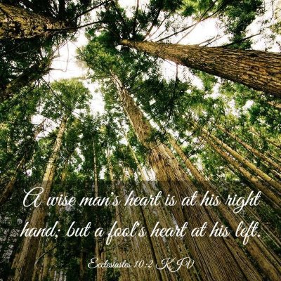Picture 03 - Ecclesiastes 10:2 KJV - A wise man's heart is at his right hand; but a - Bible Verse Picture