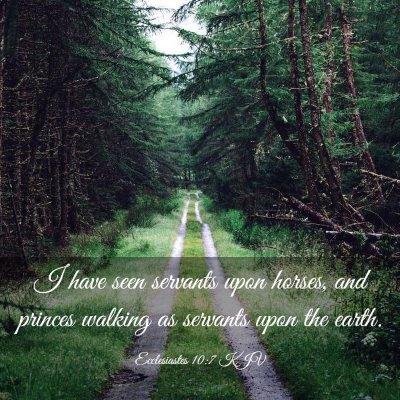 Picture 03 - Ecclesiastes 10:7 KJV - I have seen servants upon horses, and princes - Bible Verse Picture